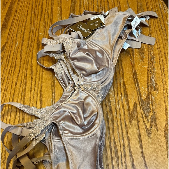 NWT Chantelle Hedona 2031 minimizer bra in nude - Picture 3 of 4